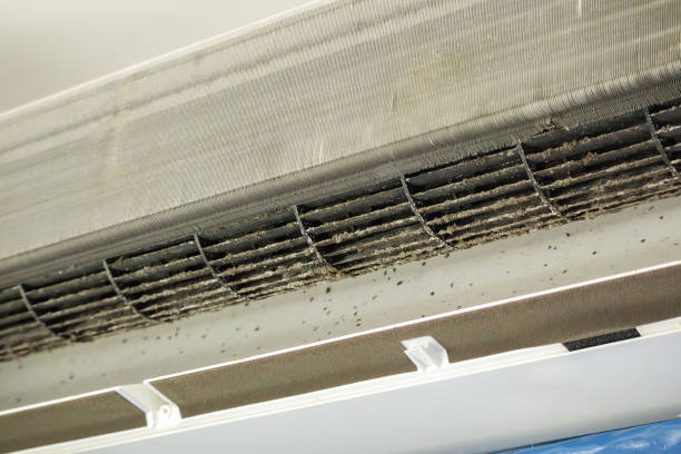 Best Ductwork Cleaning Services  in Kendallville, IN